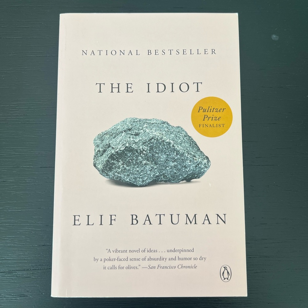 Paperback Book: The Idiot by Wild Batuman